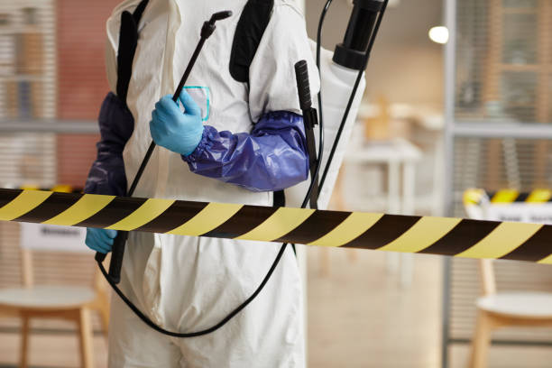 Professional Sewage Cleanup technician working in Dyer, AR